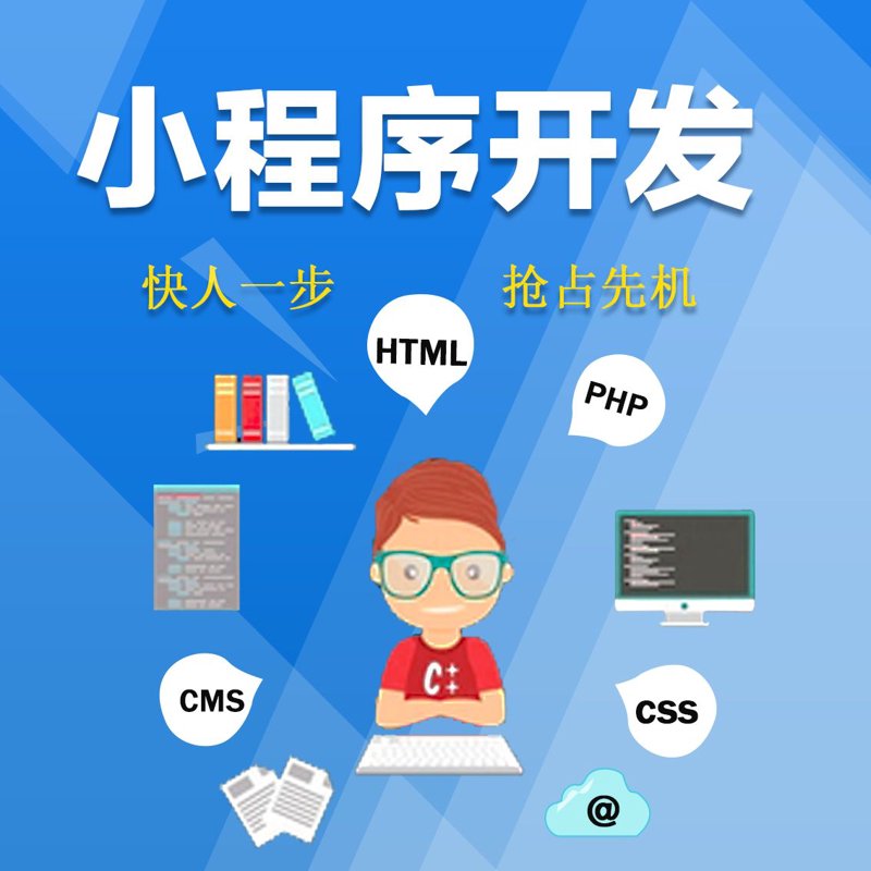 小程序开发:构筑生活与商业的新渠道