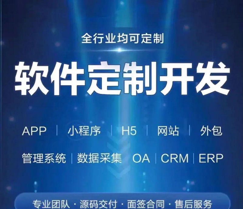 APP开发：引领移动时代的创新之翼